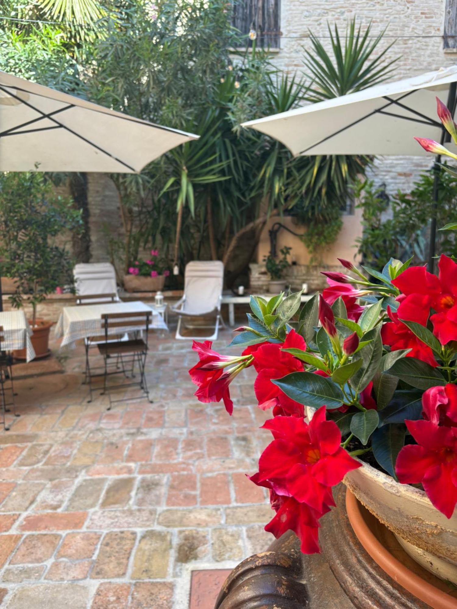 Relais B&B Corte Dei Turchi Longiano Bagian luar foto
